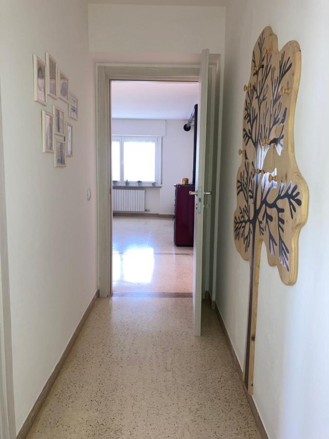 Meraki Dolomiti Longarone Ngoại thất bức ảnh